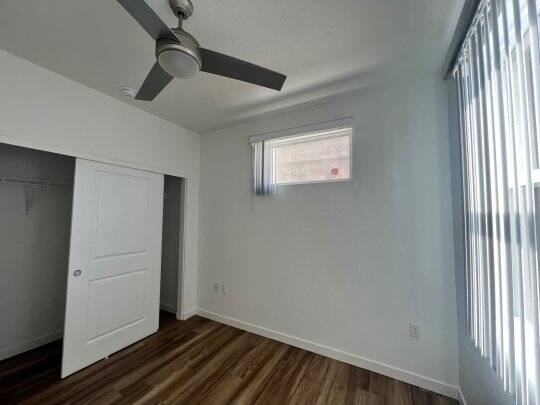 Downstairs Bedroom Closet